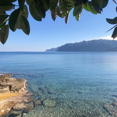The Island House - Family Size Apt - Overlooking The Aegean - 3 Steps From The Beach Mochlos Exterior foto