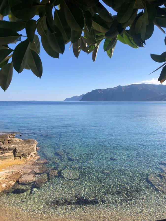 The Island House - Family Size Apt - Overlooking The Aegean - 3 Steps From The Beach Mochlos Exterior foto
